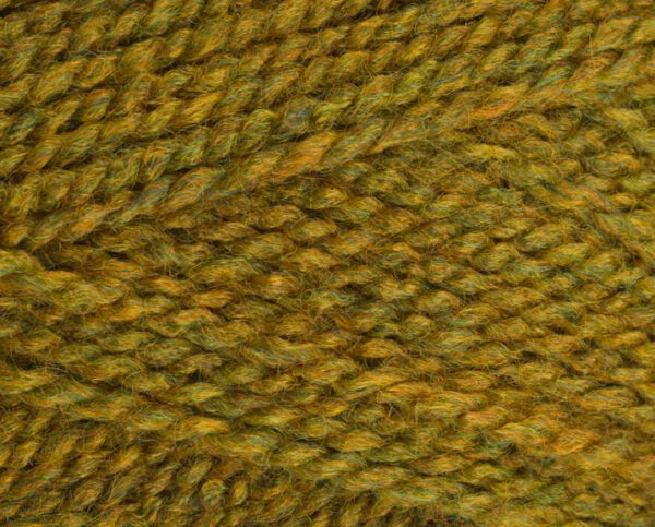 gorse_3743