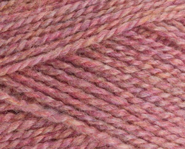 wild_salmon_3745