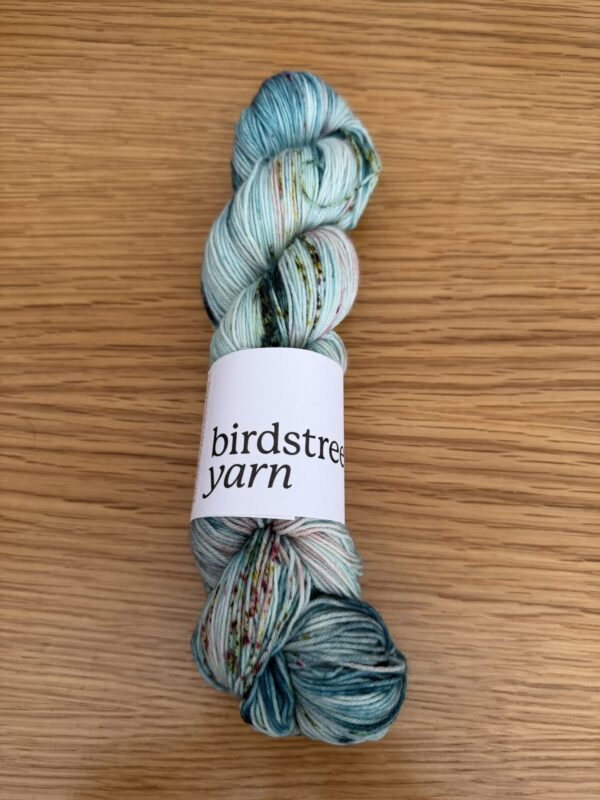 Birdstreet Sock Yarn - Image 8