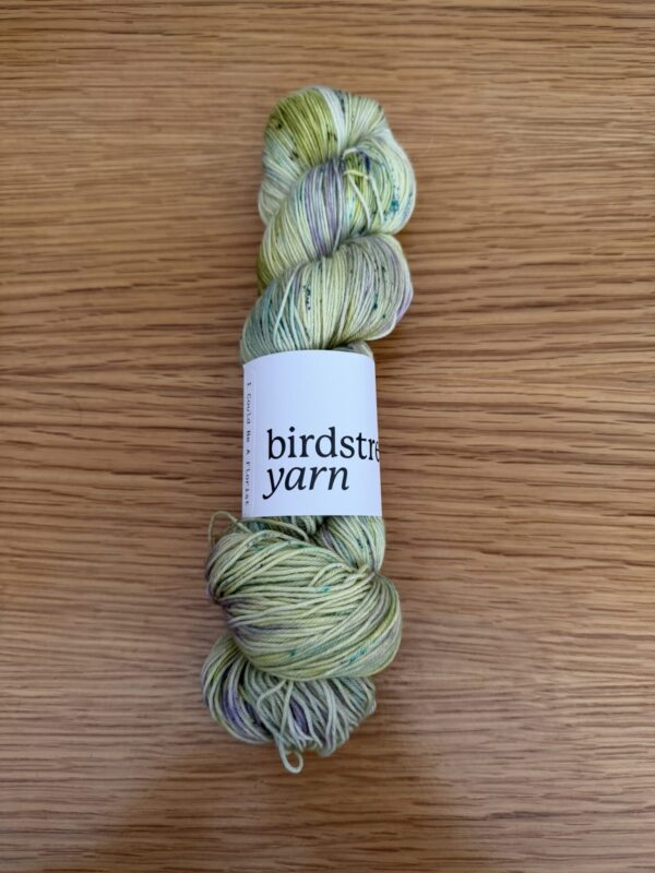 Birdstreet Sock Yarn - Image 6