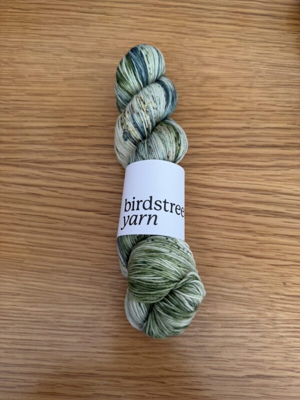 Birdstreet Sock Yarn - Image 12