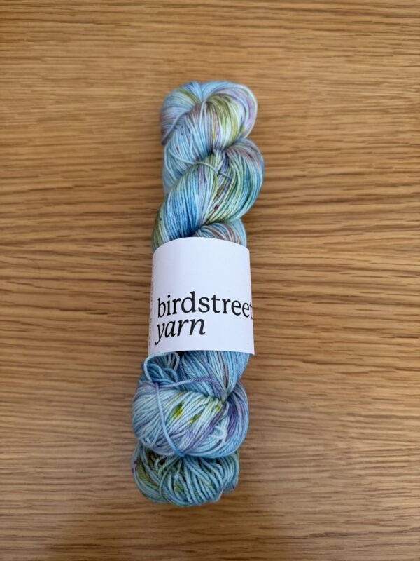 Birdstreet Sock Yarn - Image 7