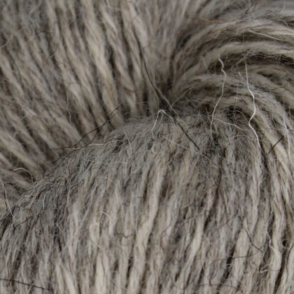 Baa Ram Ewe British Breeds - Image 3