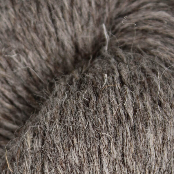 Baa Ram Ewe British Breeds - Image 4