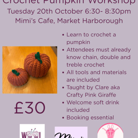 Crochet Pumpkin Workshop Tuesday 20th October 6:30 - 8:30pm